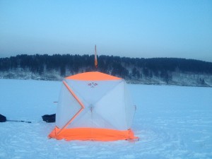 IMG_0339.JPG
