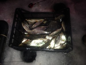 IMG_0340.JPG