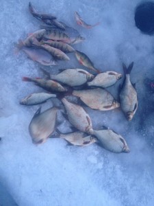 IMG_0361.JPG