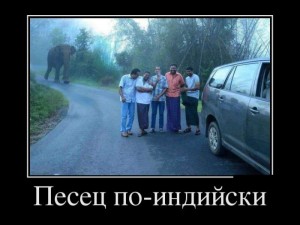 инд.jpg