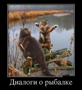 рыб.jpg