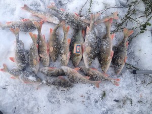 IMG_0374.JPG