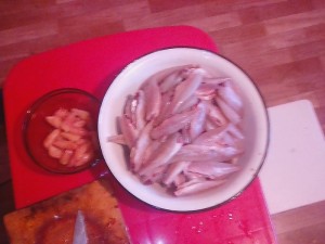 IMG_20161129_150636.jpg