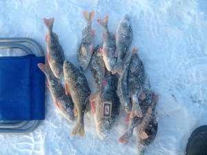 IMG_0391.JPG