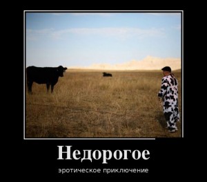 бля.jpg