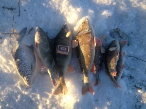 IMG_0406.JPG