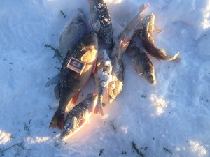 IMG_0410.JPG