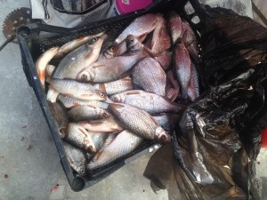 IMG_0405.JPG