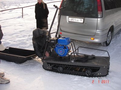 Собака 1.JPG