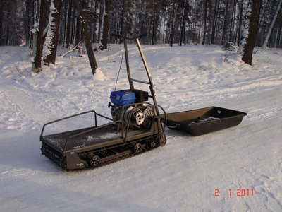 Собака 2.JPG