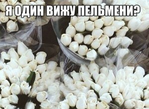 пельмешки.jpg