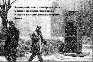 зима.jpg