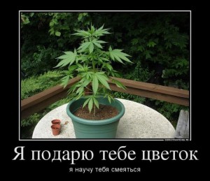 смех.jpg