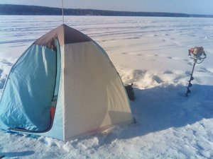 IMG_20170225_161602.jpg