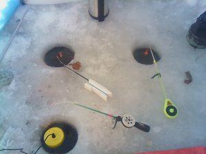 IMG_20170225_161411.jpg