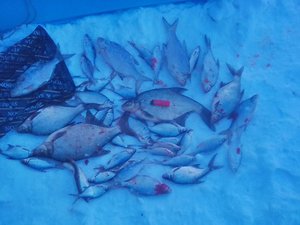 IMG_20170225_184308.jpg