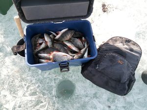 IMG_20170408_173728-1040x780.jpg