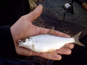 IMG_20170427_185333.jpg