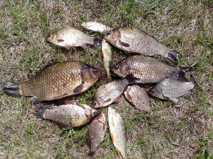 IMG_20170531_135819.jpg
