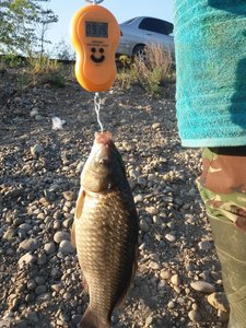 20170623_064659.jpg