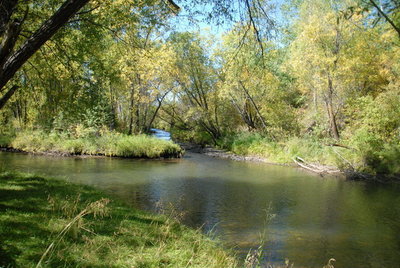 ALV_2344.JPG