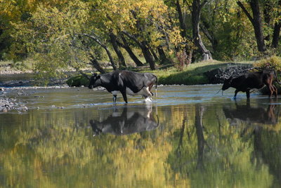 ALV_2359.JPG
