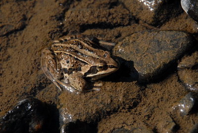 ALV_2408.JPG