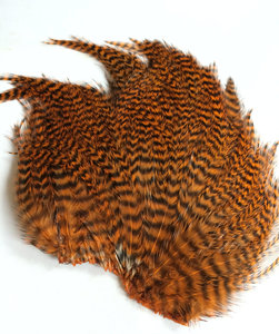 saddle.jpg