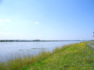 IMGP4130.jpg