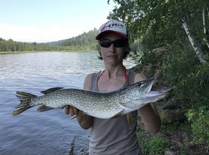 pike.jpg