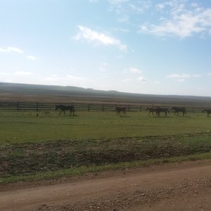 20170910_133047 — копия.jpg
