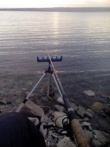 IMG_20171022_165918.jpg