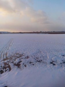 IMG_20171116_163605.jpg