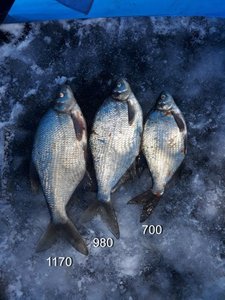 20171125_150846_345x460.jpg