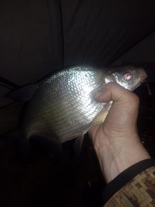 IMG_20171203_022310.jpg