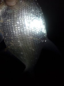 IMG_20171203_045646.jpg