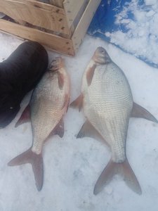 IMG_20171203_092133.jpg