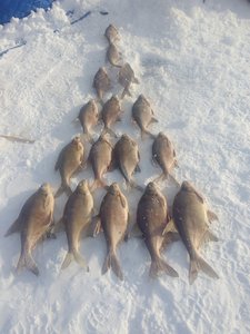 IMG_20171203_132951.jpg