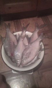 IMG_20171224_192751.jpg