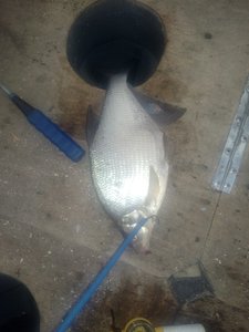 IMG_20171224_103050.jpg