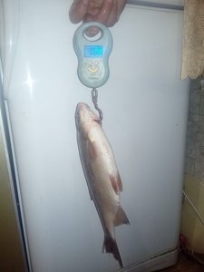 IMG_20171224_190233.jpg