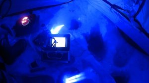 iloveimg_com.jpg