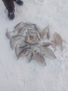 IMG_20171230_162207.jpg