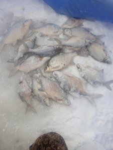 IMG_20180101_113541.jpg