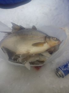 IMG_20180101_114248.jpg