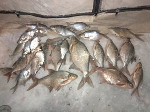 IMG_20180106_175623-1040x780.jpg