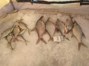 IMG_20180106_155249-1040x780.jpg