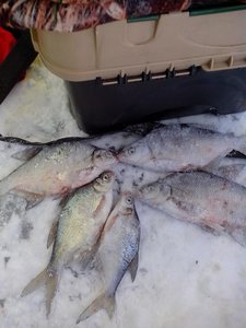 IMG_20180113_114639.jpg