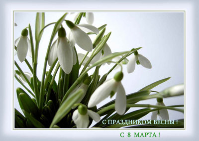8 марта.jpeg