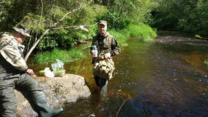 IMG_20170616_141802.jpg